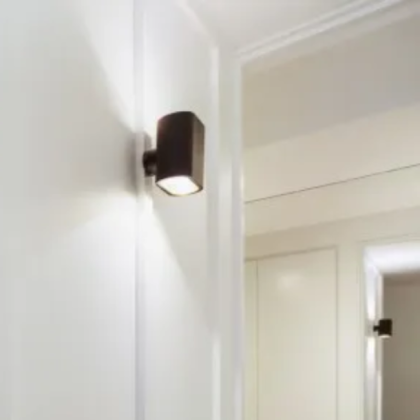 Superlight SL6492 Ovoid wall fixture in an aged bronze finish